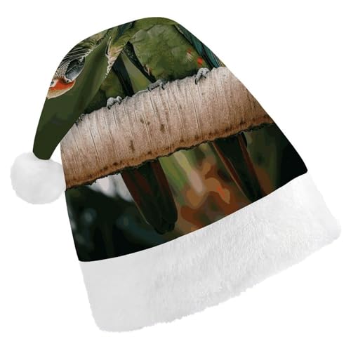 Dwrepo Weihnachtsmütze für Erwachsene, Nikolausmütze, zwei Papageien auf grüner Palme, Uni, Urlaubshut, dicke Weihnachtsmütze, Party-Kopfbedeckung Dwrepo Weihnachtsmütze für Erwachsene, Nikolausmütze, zwei Papageien auf grüner Palme, Uni, Urlaubshut, dicke Weihnachtsmütze, Party-Kopfbedeckung von Dwrepo