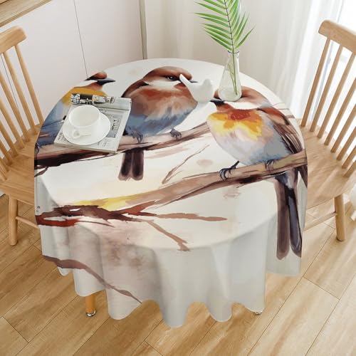 Tischdecke, Motiv: Vögel ruhen auf einem Ast, wasserdicht, knitterfrei, runde Tischdecke, 127 x 127 cm, waschbar, Tischdecke für drinnen und draußen, Küche, Esszimmer, Urlaub, dekorativ, 152,4 cm Tischdecke, Motiv: Vögel ruhen auf einem Ast, wasserdicht, knitterfrei, runde Tischdecke, 127 x 127 cm, waschbar, Tischdecke für drinnen und draußen, Küche, Esszimmer, Urlaub, dekorativ, 152,4 cm von Dwrepo