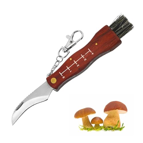 Pilzmesser,Pilzmesser mit Bürste und Lineal,Schwammerlmesser mit Pinsel,Edelstahl Trüffel Taschenmesser,Klappmesser,Kleines Taschenmesser,Edelstahl Pilzsammler Messer,Mushroom Knife,für Pilzesammeln Pilzmesser,Pilzmesser mit Bürste und Lineal,Schwammerlmesser mit Pinsel,Edelstahl Trüffel Taschenmesser,Klappmesser,Kleines Taschenmesser,Edelstahl Pilzsammler Messer,Mushroom Knife,für Pilzesammeln von Dyiouxin