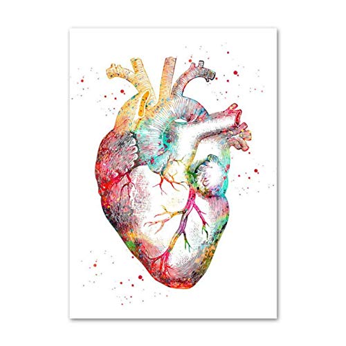 DIY 5D Diamant Gemälde Kit Anatomie Vollbohrer Kristall Crystal Strass Stickerei Kreuzstich Arts Craft Decor Diamond Painting für Home Wand Decor 30 * 40 cm DIY 5D Diamant Gemälde Kit Anatomie Vollbohrer Kristall Crystal Strass Stickerei Kreuzstich Arts Craft Decor Diamond Painting für Home Wand Decor 30 * 40 cm von Dzmengj