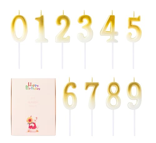 Kinsynko 10 Stück Zahlenkerzen 0-9 Geburtstagskerzen für Kuchen, Gold Zahl Geburtstagskerzen 0 1 2 3 4 5 6 7 8 9 für Happy Birthday Hochzeit Jahrestag Party Supplies Kuchen Dekoration von EAKE