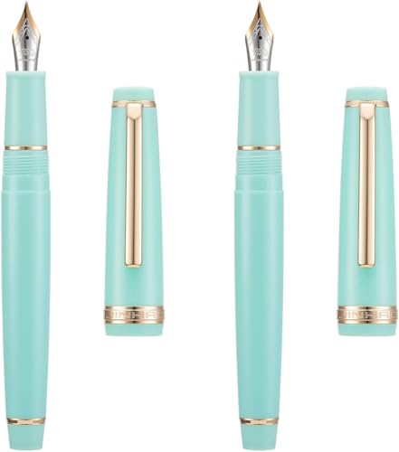 EAMOM Füllfederhalter EF/F/M Feder mit Konverter, mehrfarbiges Harz, silber/goldener Clip, Schreibstift-Set (Hellgrün-Gold, EF und F) von EAMOM