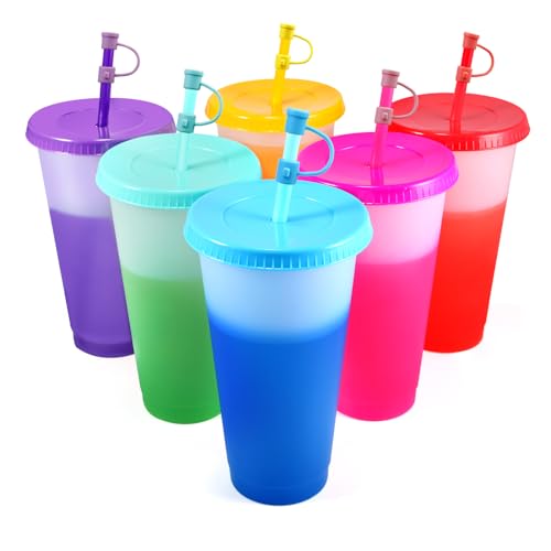 6 Stück Plastikbecher Trinkbecher Becher mit Deckel & Strohhalm Abdeckung - 710ml Mehrweg Tasse Farbwechselbecher Kaffeebecher to go Becher für Eiskaffee Kaltes Trinken Smoothie (mit Stroh Abdeckung) 6 Stück Plastikbecher Trinkbecher Becher mit Deckel & Strohhalm Abdeckung - 710ml Mehrweg Tasse Farbwechselbecher Kaffeebecher to go Becher für Eiskaffee Kaltes Trinken Smoothie (mit Stroh Abdeckung) von EASEVE
