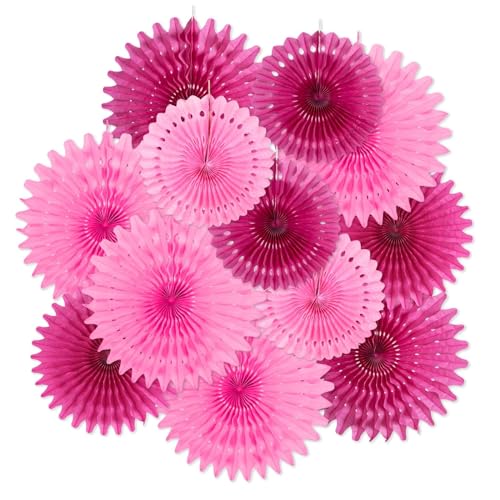 EASY JOY 12er Girlande Geburtstag Rose PapierFächer Set Geburtstagsdeko Mädchen Blumen Hängende Hell Pink Deko für Geburtstag Party Hochzeit Neujahr Baby Shower Gartenparty EASY JOY 12er Girlande Geburtstag Rose PapierFächer Set Geburtstagsdeko Mädchen Blumen Hängende Hell Pink Deko für Geburtstag Party Hochzeit Neujahr Baby Shower Gartenparty von EASY JOY