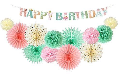 Easy Joy 13 Stück Pastell Geburtstagsdeko,Happy Birthday Girlande Geburtstag Party Zubehör,Deko Geburtstag Mädchen,Pompons Deko,Kinder Geburtstagsfeier Partydekoration Easy Joy 13 Stück Pastell Geburtstagsdeko,Happy Birthday Girlande Geburtstag Party Zubehör,Deko Geburtstag Mädchen,Pompons Deko,Kinder Geburtstagsfeier Partydekoration von EASY JOY