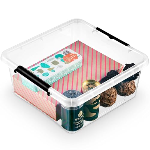 EDANTI Aufbewahrungsbox Mit Deckel Clips Organizer Ideal für Büro, Kinderzimmer, Küche, Schlafzimmer Sortierbox Sortimentskasten Plastikbox Transparent Quadratisch (18l) von EDANTI