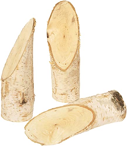 Naturholz Birkenstämmchen, 5 Stück von EDUPLAY