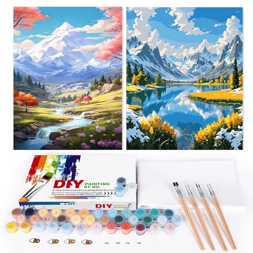 EFOTIML Malen-nach-Zahlen-Set für Erwachsene, Anfänger und Kinder im Alter von 8–12 Jahren, 40,6 x 50,8 cm, Leinwand für Malsets für Erwachsene, in bunter Box (ohne Rahmen), Schneeberg und See (2 von EFOTIML