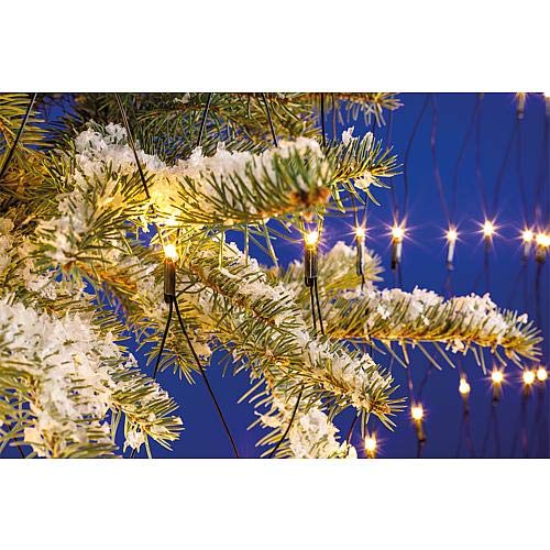 EGB LED-Lichternetz 2m x 2m 240 ww LED 4027236043447 EGB LED-Lichternetz 2m x 2m 240 ww LED 4027236043447 von EGB