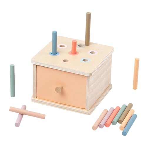 EHJRE Holzspielzeug für Kinder, Farbform Sortierbox zur Förderung der Hand-Auge-Koordination, Stickbox von EHJRE