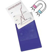 EICHNER Sichttaschen DIN A4 blau glatt, 10 St. von EICHNER