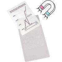 EICHNER Sichttaschen DIN A4 grau glatt, 10 St. von EICHNER