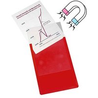 EICHNER Sichttaschen DIN A4 rot glatt, 10 St. von EICHNER