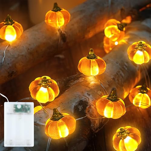 EKKONG Kürbis Lichterkette Batterie,Kürbisse Herbst Lichterketten 3M 30LED Herbst Ahornblatt Girlande Lichterkette für Halloween,Party,Innen,Kinderzimmer,Haus EKKONG Kürbis Lichterkette Batterie,Kürbisse Herbst Lichterketten 3M 30LED Herbst Ahornblatt Girlande Lichterkette für Halloween,Party,Innen,Kinderzimmer,Haus von EKKONG