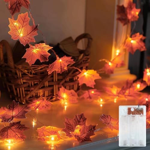 Herbst Dekoration Lichterkette Herbst Lichterkette Herbst Deko für Halloween,Erntedankfest,Innen Außen Deko Herbst Dekoration Lichterkette Herbst Lichterkette Herbst Deko für Halloween,Erntedankfest,Innen Außen Deko von EKKONG