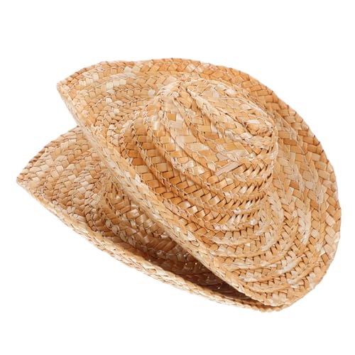 ELAYARD 2 Stück Mini Strohhüte aus Leichtem Material Vielseitig für Puppen Kleine Haustiere und Bastelprojekte Stilvolle Western Accessoires für Kreative Kostüme und Dekorationen von ELAYARD