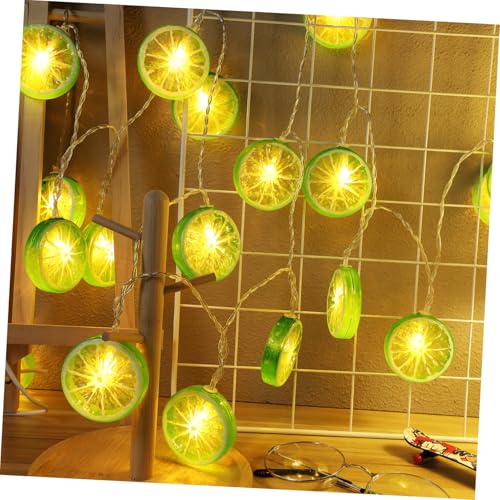 ELAYARD Batteriebetriebene LED Lichterkette mit Limettenscheiben Wasserfestes Deko Licht für Garten Balkon Terrasse Camping Flexibel Biegsam Sicher für Haustiere von ELAYARD