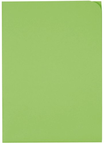 Elco 29466.62 Ordo Organisationsmappe Discreta, 220 x 310 mm, 120 g, intensivgrün von ELCO