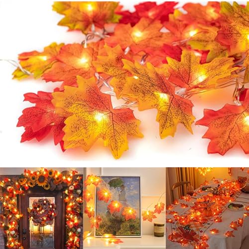 ELEUTH Herbst Lichterkette, 4,5 M 30 LED Ahornblätter Lichterketten Herbstdeko Innen, Herbst Blättergirlande mit LED, IP45 3AA Batteriebetrieben Dekoration für Halloween, Erntedankfest, Weihnachts ELEUTH Herbst Lichterkette, 4,5 M 30 LED Ahornblätter Lichterketten Herbstdeko Innen, Herbst Blättergirlande mit LED, IP45 3AA Batteriebetrieben Dekoration für Halloween, Erntedankfest, Weihnachts von ELEUTH