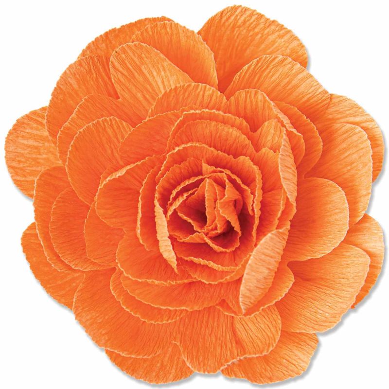 Thinlits Die Set Pom-Pom Flower by Olivia Rose Thinlits Die Set Pom-Pom Flower by Olivia Rose von Sizzix