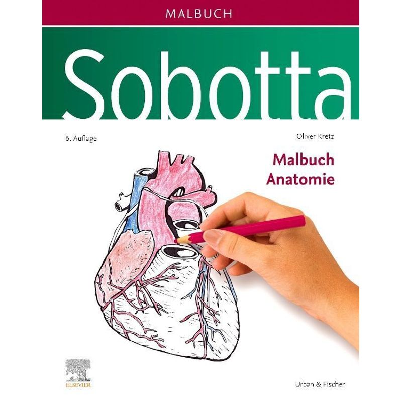 Sobotta Malbuch Anatomie - Oliver Kretz, Kartoniert (TB) von Elsevier, München