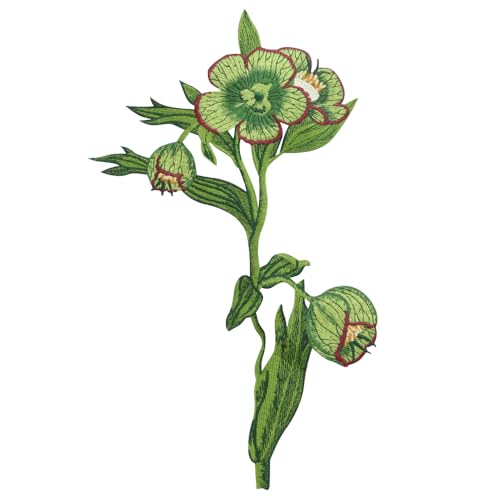 Bestickte grüne Blumen-Patches zum Aufnähen auf Kragen, Krawatte, T-Shirt, Dekoration, Emblem, Applikation, Zubehör Bestickte grüne Blumen-Patches zum Aufnähen auf Kragen, Krawatte, T-Shirt, Dekoration, Emblem, Applikation, Zubehör von EMDOMO