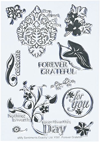 EMS My Sentiments Genau Clear Stamps 4-Zoll x 6 Tabelle Forever Grateful von EMS