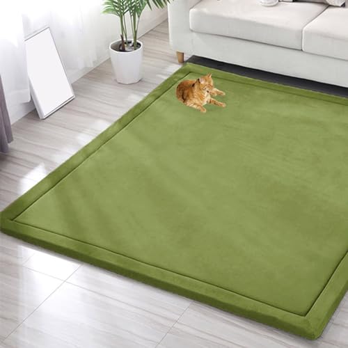 EN AyuL Großer Teppich, Korallensamt, Baby-Spielmatte, dicker Kinderzimmerteppich für Kinder, Krabbelmatte, Tatami-Yogamatte, rutschfeste Bodenmatte, Übungsunterlagen (80 x 100 cm, grün) von EN AyuL