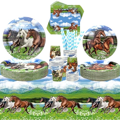 Pferde Party Supplies - Serves 40, Geschirr-Set mit Tellern, Bechern, Servietten, Tischdecke, Strohhalmen für Rennen, Cowboy Western Boy Geburtstag Party Dekorationen von ENCETARDE
