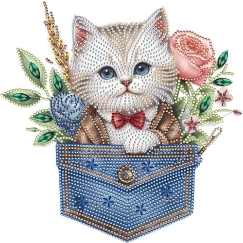 ENCOMAG Diamant-Malset Katze in der Tasche für Erwachsene und Anfänger, teilweise Katzen-Diamant-Punkt-Malset, Diamant-Kunst-Kits, Bild, Kunsthandwerk für Heimdekoration, 30 x 30 cm von ENCOMAG