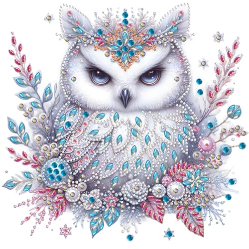 ENCOMAG Eulen Diamond Painting, Eulen 5D Diamant Painting Erwachsene Kinder Bilder Malerei Set Mosaikherstellung für Erwachsene, Kinder, Home Wand Decor 30x30cm von ENCOMAG