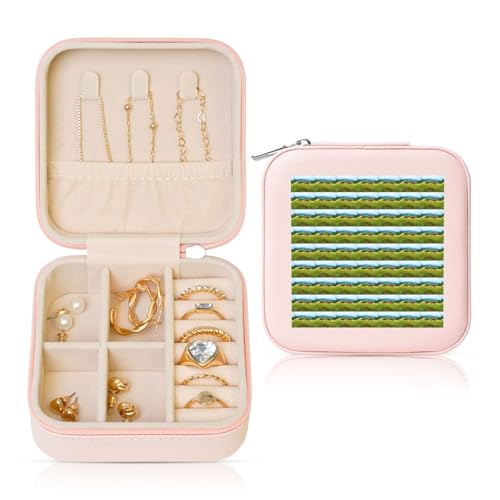 ENGhjes Kleine Schmuckschatulle, Reise-Schmuckschatulle, Mini-Schmuckkästchen, tragbar, Schmuckaufbewahrung, Vitrine für Damen von ENGhjes