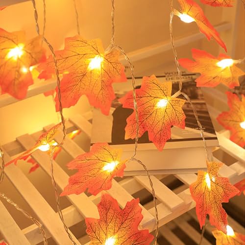 ENLACE Ahornblatt Lichterkette, 3M 20 LED Herbstblätter Lichterkette Batteriebetrieben, Herbst Lichterketten für Halloween Deko, Herbstdeko, Weihnachtsdeko, Erntedankfest, Tischdeko ENLACE Ahornblatt Lichterkette, 3M 20 LED Herbstblätter Lichterkette Batteriebetrieben, Herbst Lichterketten für Halloween Deko, Herbstdeko, Weihnachtsdeko, Erntedankfest, Tischdeko von ENLACE