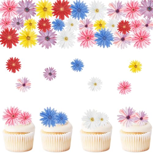 ENLACE Gänseblümchen Tortendeko Essbare Blumen für Torte,65 Stück Blumen Deko Torte Essbar,Bunt 3D Essbare Blüten Tortendeko,Kuchendeko Blüten Gänseblümchen Cupcake Deko für Geburtstag Hochzeit ENLACE Gänseblümchen Tortendeko Essbare Blumen für Torte,65 Stück Blumen Deko Torte Essbar,Bunt 3D Essbare Blüten Tortendeko,Kuchendeko Blüten Gänseblümchen Cupcake Deko für Geburtstag Hochzeit von ENLACE