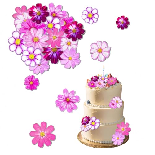 ENLACE Gänseblümchen Tortendeko, 65 Stück, für Geburtstag Hochzeit Taufe von ENLACE