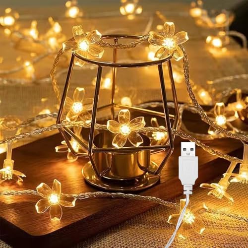 ENLACE Lichterkette Kirschblüten, 3M 20 LED Lichterkette Blumen mit USB, Warmweiß Blumen Lichterkette für Garten, Hochzeit, Innen, Außen, Terrasse, Bäume, Weihnachten, Party Deko ENLACE Lichterkette Kirschblüten, 3M 20 LED Lichterkette Blumen mit USB, Warmweiß Blumen Lichterkette für Garten, Hochzeit, Innen, Außen, Terrasse, Bäume, Weihnachten, Party Deko von ENLACE