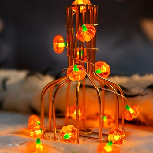 ENLACE LED Kürbis Lichterkette, 2M 20 LED Kürbisse Herbst Lichterketten Batteriebetrieben, Kürbis Lichterkette für Innen, Halloween, Weihnachten, Erntedankfest, Herbst Dekoration ENLACE LED Kürbis Lichterkette, 2M 20 LED Kürbisse Herbst Lichterketten Batteriebetrieben, Kürbis Lichterkette für Innen, Halloween, Weihnachten, Erntedankfest, Herbst Dekoration von ENLACE