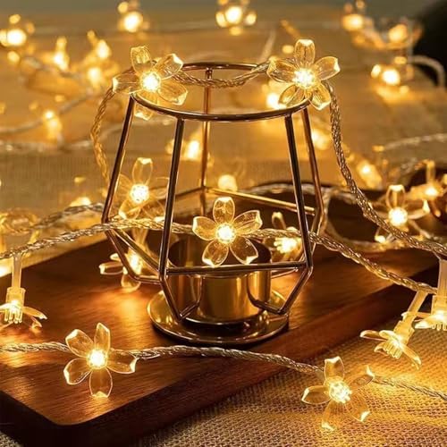ENLACE Lichterkette Blumen, 3M 20 LED Kirschblüten Lichterketten Batteriebetrieben, Warme Farbe Blumen Lichterkette für Garten, Hochzeit, Innen, Außen, Terrasse, Bäume, Party Dekoration ENLACE Lichterkette Blumen, 3M 20 LED Kirschblüten Lichterketten Batteriebetrieben, Warme Farbe Blumen Lichterkette für Garten, Hochzeit, Innen, Außen, Terrasse, Bäume, Party Dekoration von ENLACE