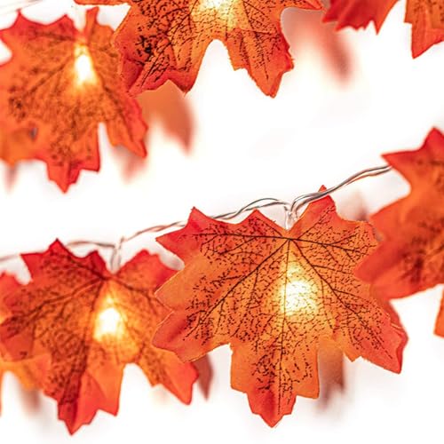 ENLACE Lichterkette Herbst, 1,5M 10 LED Ahornbältter lichterkette Batteriebetrieben, Doppelblatt Herbstblätter Lichterketten für Halloween Deko, Herbstdeko, Weihnachtsdeko ENLACE Lichterkette Herbst, 1,5M 10 LED Ahornbältter lichterkette Batteriebetrieben, Doppelblatt Herbstblätter Lichterketten für Halloween Deko, Herbstdeko, Weihnachtsdeko von ENLACE