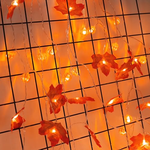 ENLACE Lichterkette Herbst, 1,5M 10 LED Ahornblätter und Kürbis Deko Lichterketten Batteriebetrieben, Herbst Ahornblatt Lichterkette for Herbstdeko Erntedankfest Weihnachtsdeko Halloween Deko ENLACE Lichterkette Herbst, 1,5M 10 LED Ahornblätter und Kürbis Deko Lichterketten Batteriebetrieben, Herbst Ahornblatt Lichterkette for Herbstdeko Erntedankfest Weihnachtsdeko Halloween Deko von ENLACE