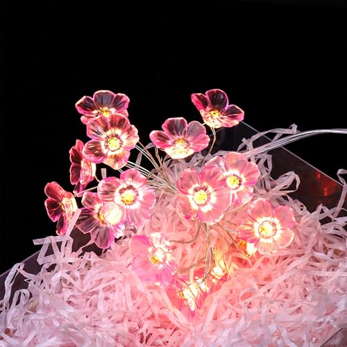 ENLACE Lichterkette Kirschblüten, 2M 20 LED Lichterkette Blumen Girlande, Dekorative Lichter Frühling Deko für Innen und Außen, Lichterkette für Hochzeits, Partys, Garten, Frühlingsdeko ENLACE Lichterkette Kirschblüten, 2M 20 LED Lichterkette Blumen Girlande, Dekorative Lichter Frühling Deko für Innen und Außen, Lichterkette für Hochzeits, Partys, Garten, Frühlingsdeko von ENLACE