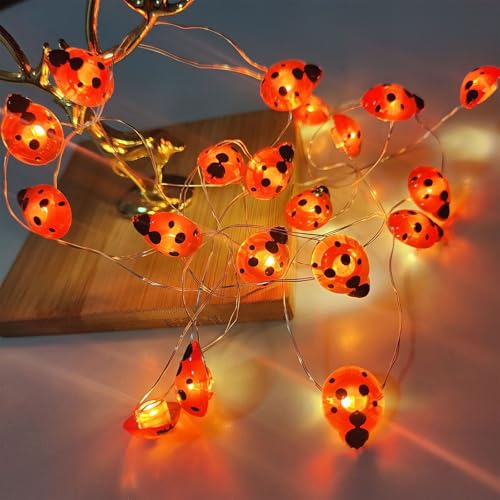 ENLACE Marienkäfer Lichterkette, 2M 20 LED Leuchtende Marienkäfer Lichterkette, Lichterketten für Hochzeits, Partys, Garten, Weihnachten Dekor, Frühlingsdeko, Außen Innen von ENLACE