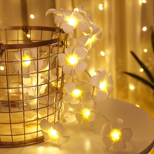 ENLACE Plumeria Lichterkette, 1,5M 10 LED Frangipani-Blume Lichterkette Batteriebetrieben, Hawaii Lichterketten für Sommer, Schlafzimmer, Sommerpartys, Strand Deko, Party, Innen und Außen ENLACE Plumeria Lichterkette, 1,5M 10 LED Frangipani-Blume Lichterkette Batteriebetrieben, Hawaii Lichterketten für Sommer, Schlafzimmer, Sommerpartys, Strand Deko, Party, Innen und Außen von ENLACE