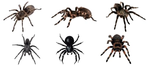 ENLACE Spinne Tortendeko von ENLACE