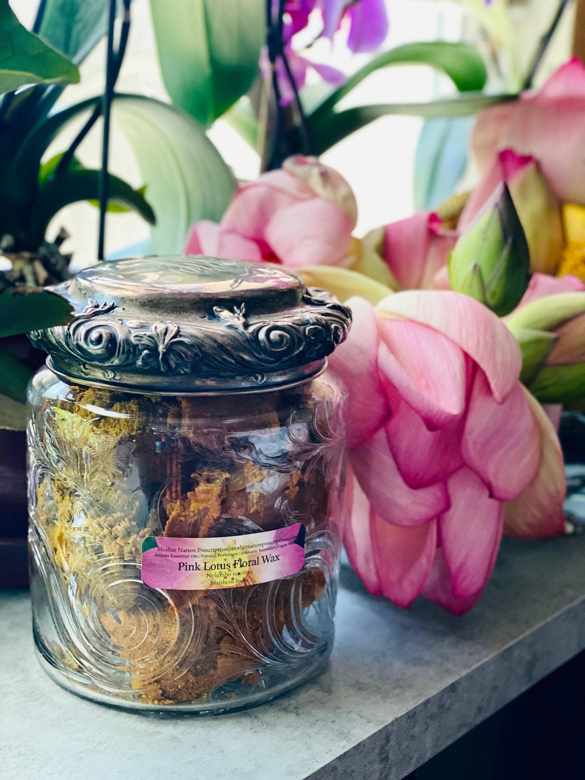 Bio Rosa Lotus Blumen Wachs Nelumbo Nucifera Indien Kleine Produziert Floral Soliflore Feste Parfums Cremes Lotionen Blume Selten Bio Rosa Lotus Blumen Wachs Nelumbo Nucifera Indien Kleine Produziert Floral Soliflore Feste Parfums Cremes Lotionen Blume Selten von EOApothecare