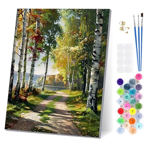 EOBROMD Birkenwald Malen Nach Zahlen Erwachsene mit Rahmen, Malen Nach Zahlen Landschaft, Paint by Numbers, DIY Leinwand Handgemalt Ölgemälde Set für Home Decor 30x40cm von EOBROMD