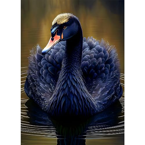 EOBROMD 5D Diamant Painting Bilder Erwachsene Tiere， Diamond Painting Erwachsene Schwarzer Schwan, DIY Diamond Painting Bilder Diamant Malerei Set für Wanddekoration 30x40cm von EOBROMD