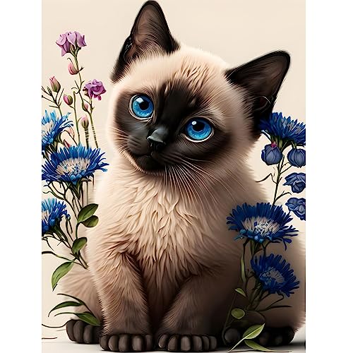 EOBROMD Diamond Painting Erwachsene Siamkatze, 5D Diamant Painting Bilder Erwachsene Siamkatze, DIY Diamond Painting Bilder Diamant Malerei Siamkatze Set für Wanddekoration 30x40cm von EOBROMD