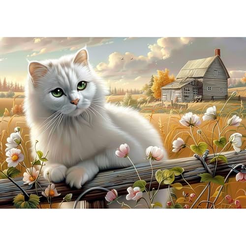 EOBROMD Diamond Painting Katze, 5D Diamant Painting Bilder für Erwachsene Tiere, DIY Bauernhof Diamant Malerei Set für Wanddekoration 30x40 cm von EOBROMD