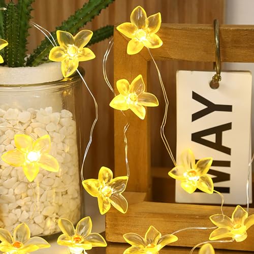EONANT LED Blume String Lichter, 10ft 30 LED Blume Fee Lichter, batteriebetriebene Lily Blume Genie Lichter, Innen- und Außenleuchten für Schlafzimmer, Party, Garten und Urlaub (Gelb) von EONANT